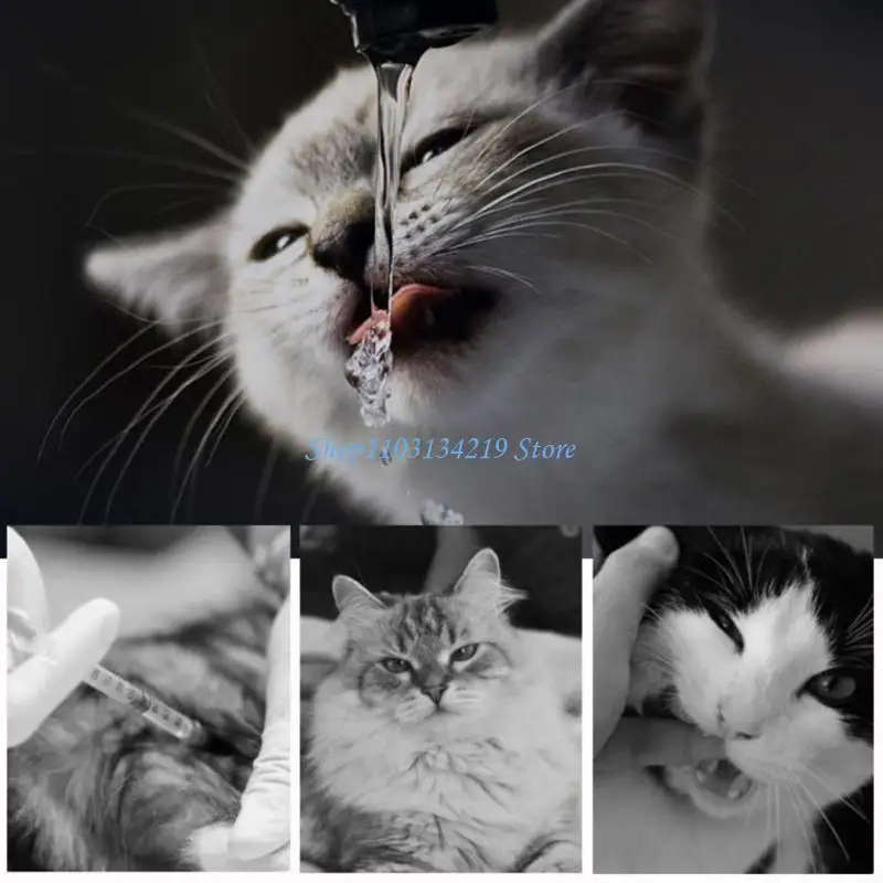N5KC Pet Cats Water Fountain Replacement Filters Carbon Filter for Dog Water Feeder Drinking Dispenser 3 Layer Filtration gallery 1