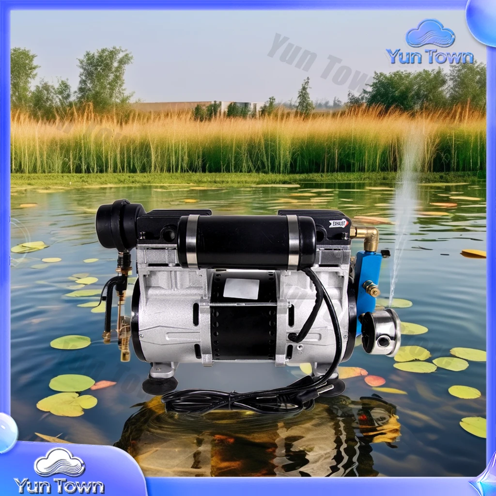Portable 1HP 6.0CFM Fish Pond Aerator Pump 170LPM Solar Pond Air Pump Oil-Free Air Gas Source Engine Core Component