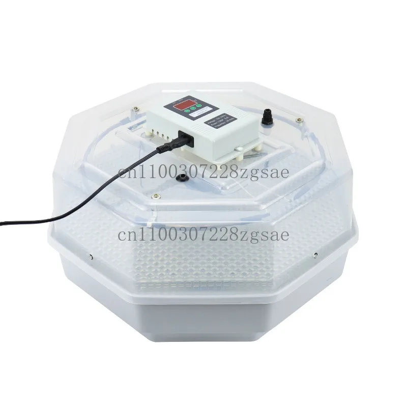 

Инкубатор Маленький бытовой инкубатор для яиц Рутин Инкубатор для куриных яиц