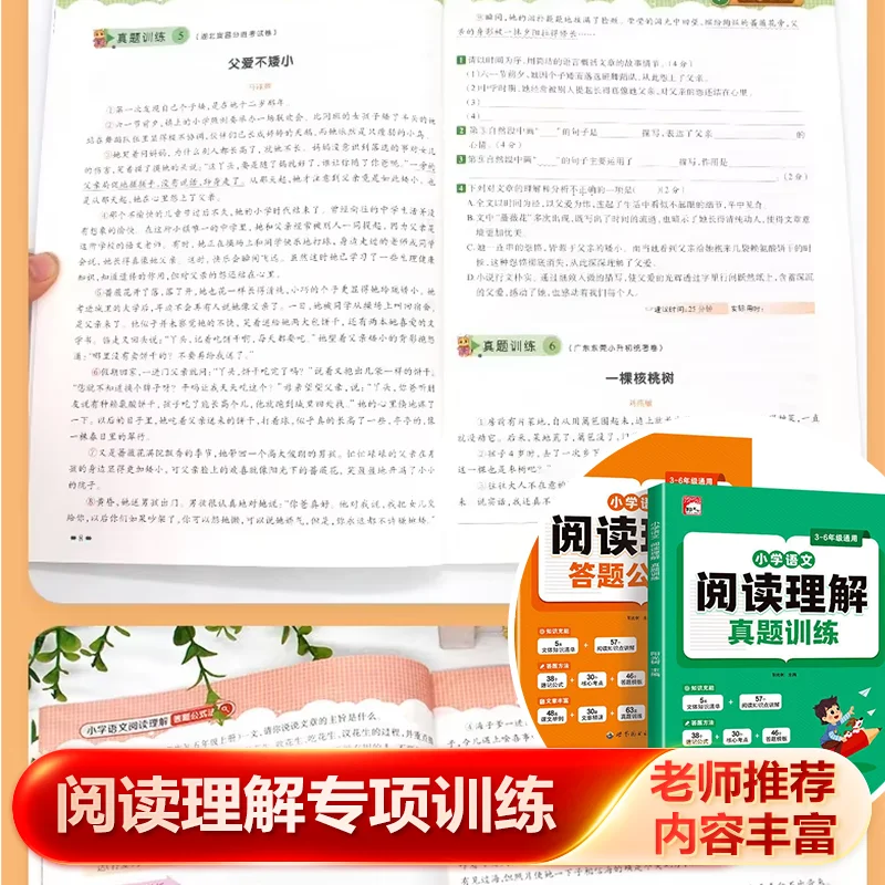 Reading Comprehension Formula Book: Elementary Chinese Answer Skills, Real Exam Questions Special Training