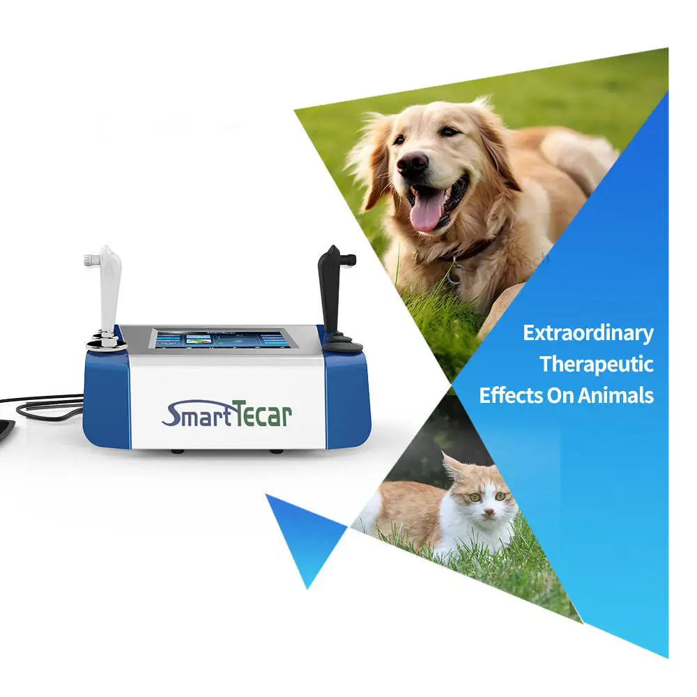 Equine 448KHz Tecar Therapy RF Deep Diathermy Machine CET RET Rehabilitator for Pets Horses Dog Cat Vet Phyiotherapy Equipment