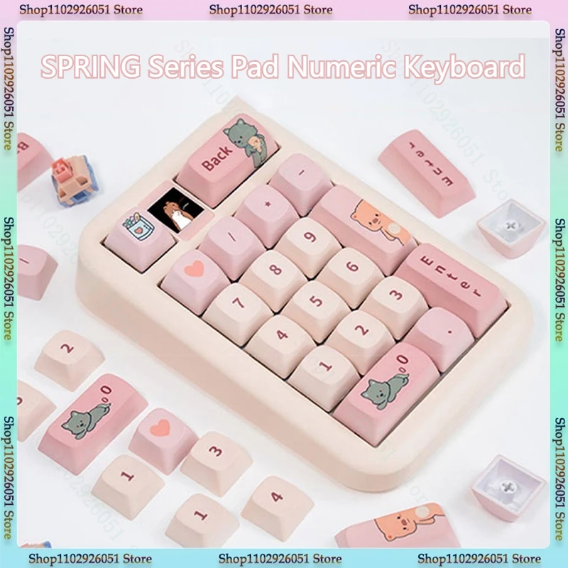 

Coolkiller Spring Small Digital Mechanical Keyboard Kawaii Pad The Third Mock Examination Hot Pluggable Portable Mini Keyboard