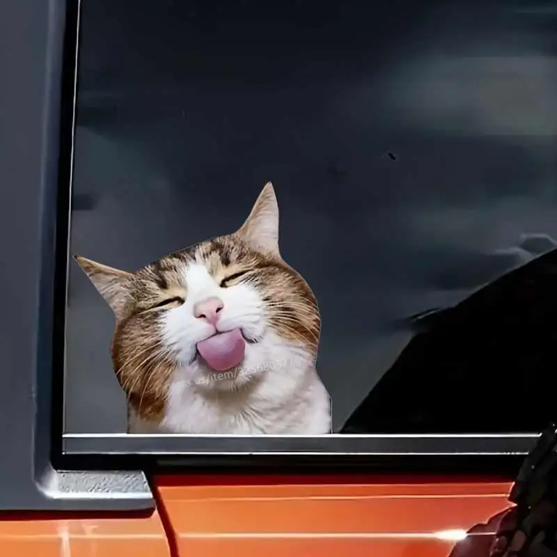 Autocollant de voiture en vinyle imperméable, chat Orange mignon, autocollant sur pare-chocs, fenêtre arrière, ordinateur portable, autocollants auto-adhésifs SH820