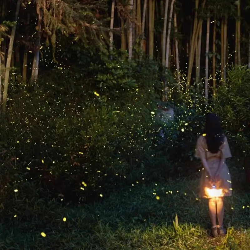 

Outdoor LED Waterproof Dynamic Firefly Light Starry Sky Laser Projection Atmosphere Light Park Decoration Lawn Laser Light