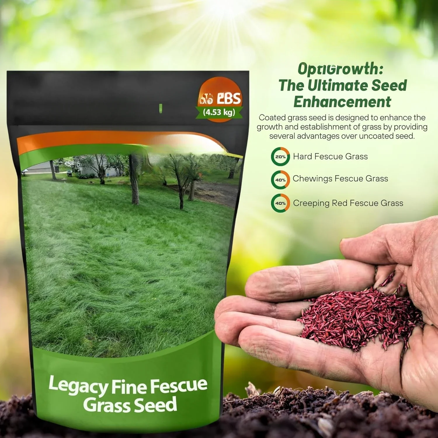 Legacy Fine Fescue Grass Seed Mix - 50 lbs. Shade & Sun Tolerant Blend of Hard Fescue