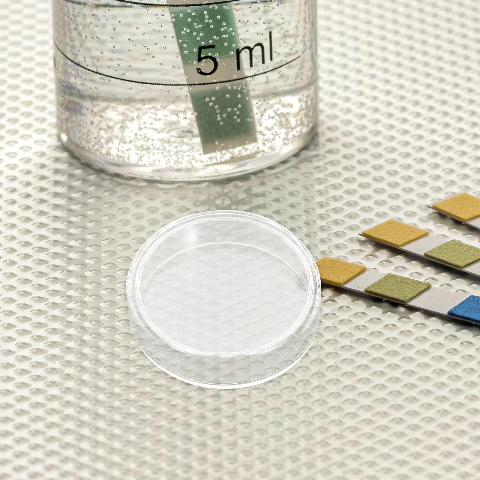 

10Pcs 60mm Reusable Glass Petri Dishes Laboratory Culture Plates Transparent Cell Tissue Microbiology Experiment Tool