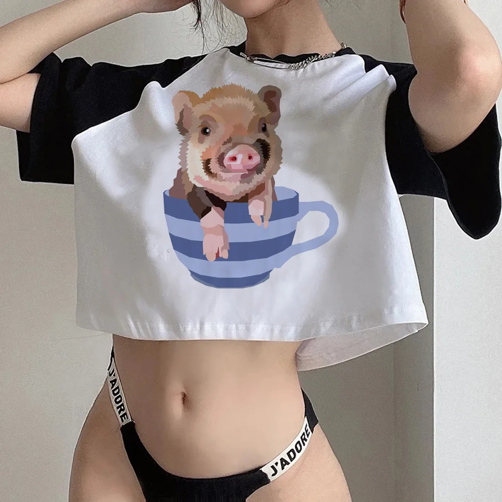 Pigs aesthetic fairycore crop top Female fairy grunge  kawai aesthetic cropped clothing