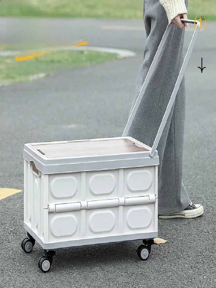 صندوق تخزين للتخييم في الهواء الطلق، عربة متنقلة قابلة للطي لتنظيم صندوق السيارة، صندوق نزهات من البلاستيك مع رف