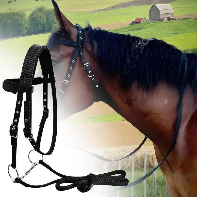 Brida de entrenamiento para caballos con 3 hebillas ajustables, halteres chapados engrosados para entrenar, entrenamiento ecuestre, líder de garganta y barbilla