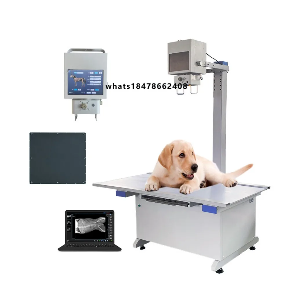 Portable Veterinary Equipment Low Price Digital Veterinary X-Ray Machine Pet Operated Veterinary X-Ray Machine