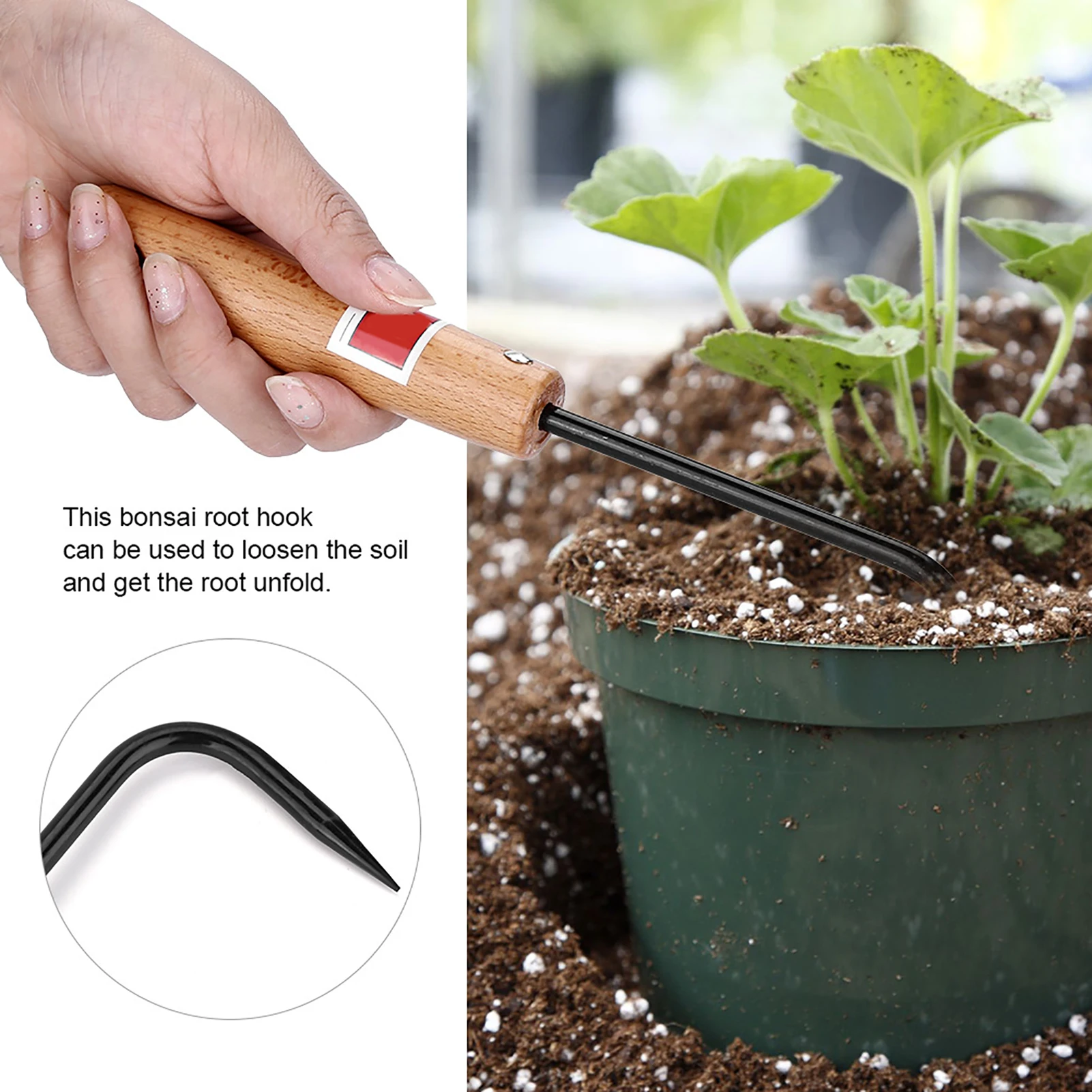 Root Hook Tool - Robuuste ijzeren en beukenhouten bonsai-wortelhaak met