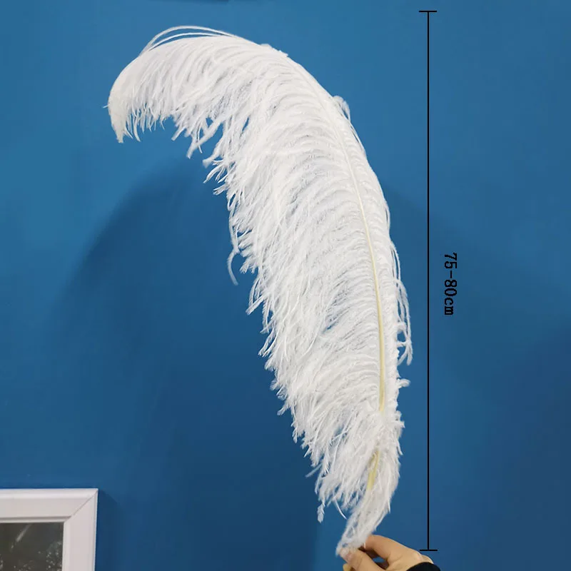 Promotion 10pcs/lot High Quality Ostrich Feather 75-80cmCM 30-32Inch Celebration Christmas Dancers Home Diy Plumas Plumes