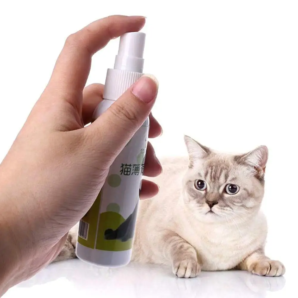 50ml Cat Catnip Spray Natural Healthy Safe Long-term Effect Catnip Spray For Kittens Cats Attractant Pet Training Pet Supplies