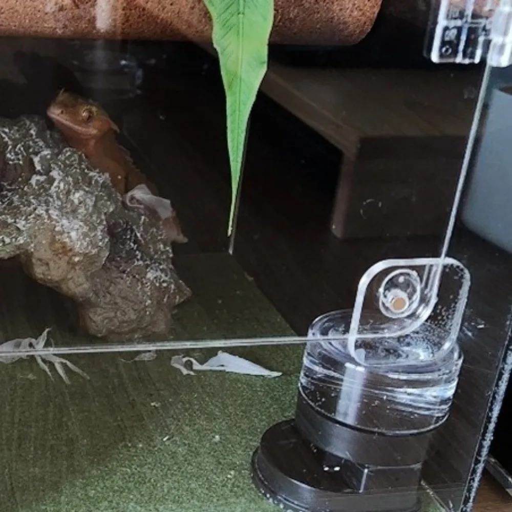 Thumbnail 4 - #42 Reptile Water Bowls Comparison Guide