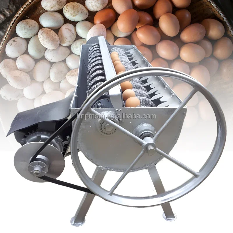 Professional-Grade Stainless Steel Fully Automatic Egg Cleaning and Polishing Machine for Processed Egg Products