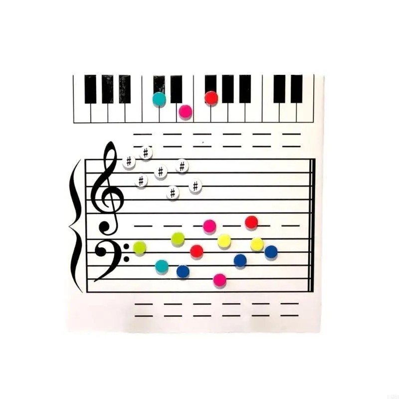 D5BB Music Staff Whiteboard for Lessons and Classroom Teaching with Colorful Magnets