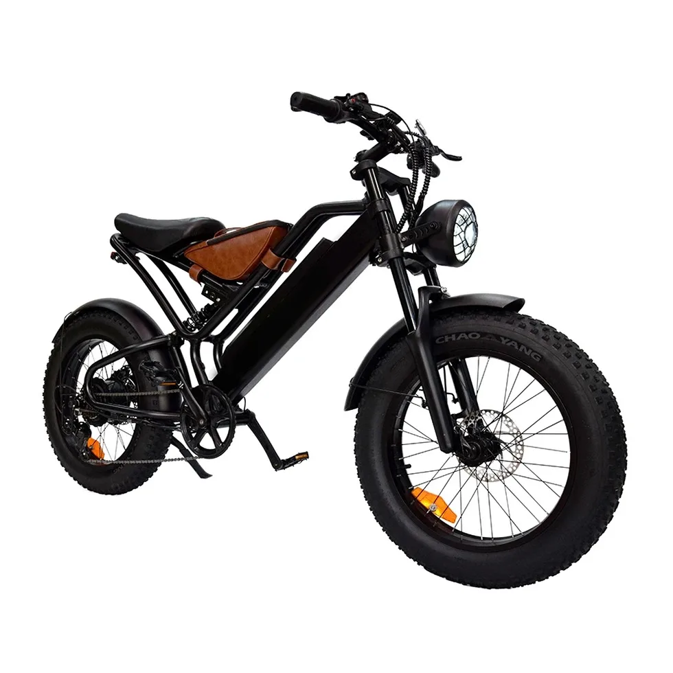 

LEAPER 48V 15AH Lithium Battery 7 Speed Electric EU EBike Full Suspension Elektrische Fiets Fietsen 20 Inch Fat Tire Bike 750W