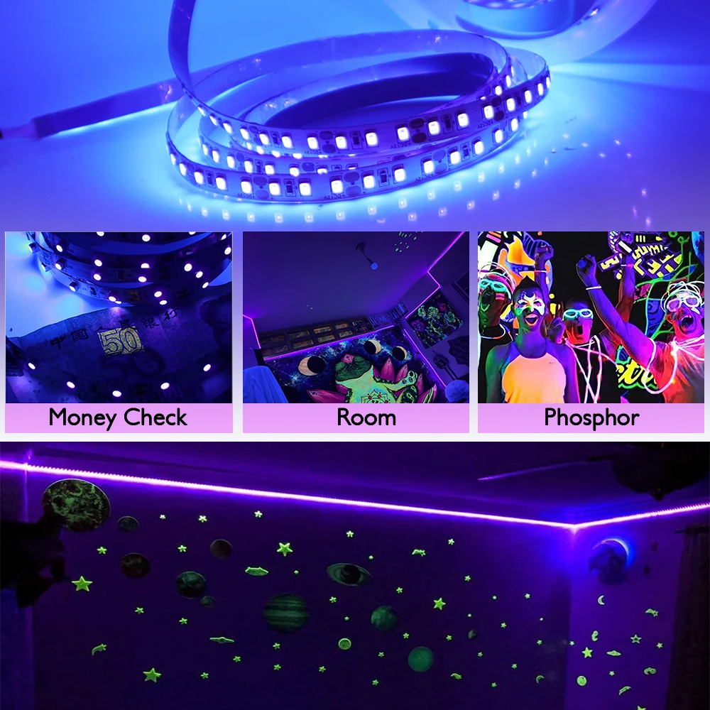 12V 24V 5m 10m 20m 50m 100m LED Strip Light 2835 120 LEDs Flexible Tape Bright 8mm PCB 13 Colors Home Decoration Not Waterproof