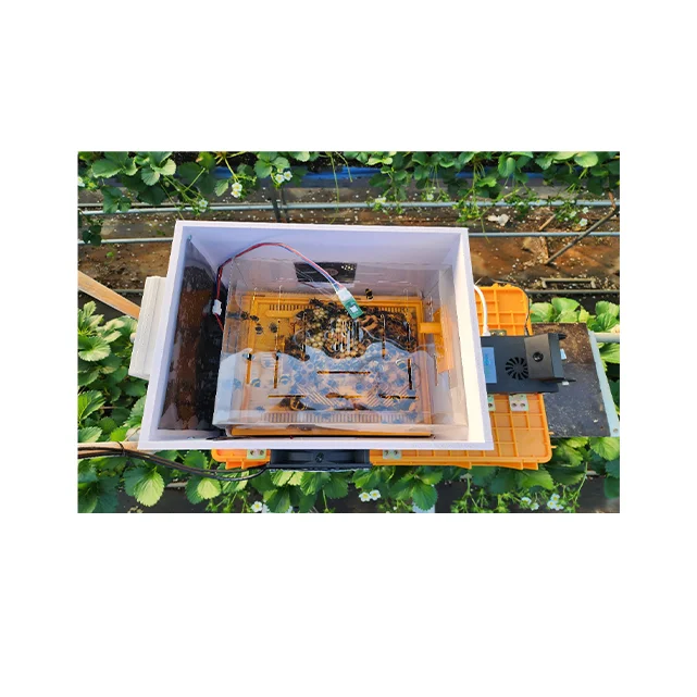 [Farmconnect] Korea Wholesale High-quality Bee Monitoring Equipment To Hives in Real Time Connect Beehive