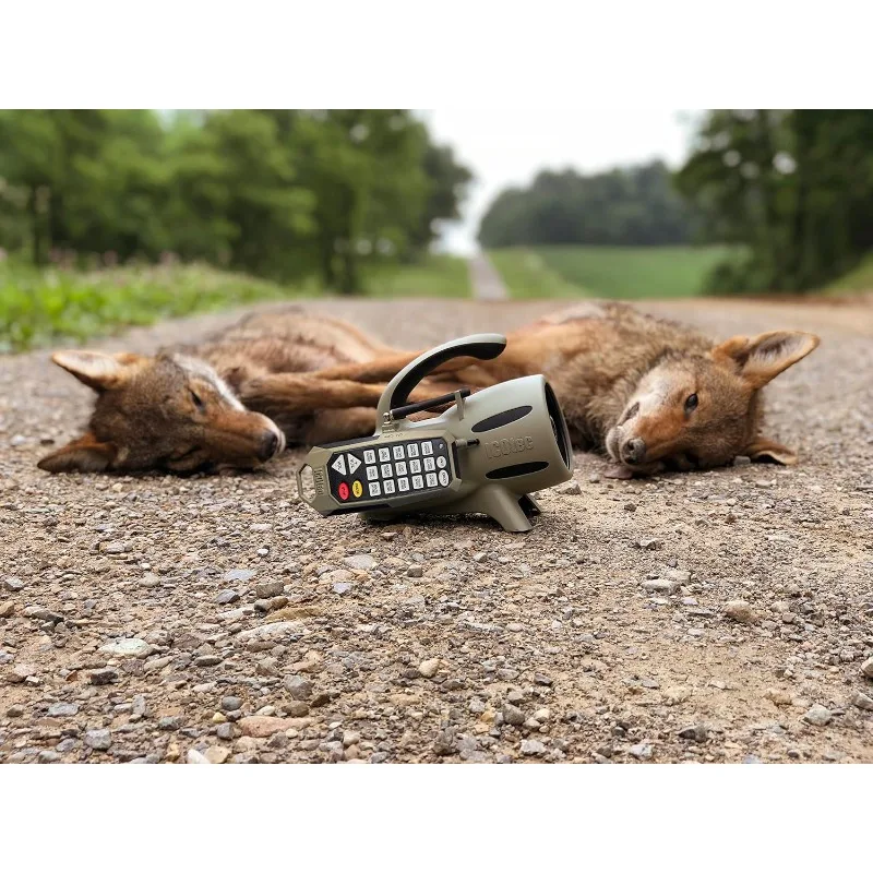 300+ Predator Call - Świetny do polowania na łasce, polowania na lisa i wszystkich polowań na dzikich zwierząt. Zasięg zdalnego sterowania 300 jardów.