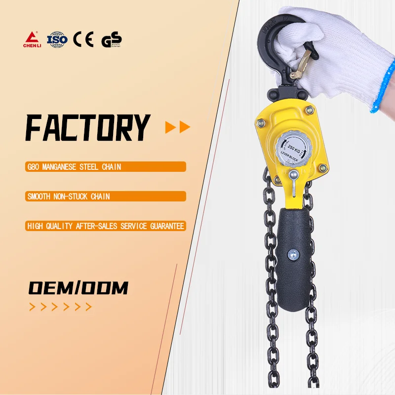 

Hot Selling Lever Chain Block 250kg 0.25 Ton Chain Block Chain Hoist