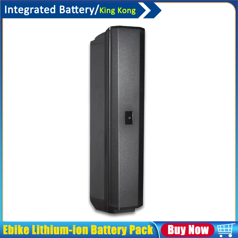 

Inner Tube 48V 15Ah 52V 20Ah Lithium-ion Battery Pack for ASOMTOM All-Terrain Adventure Explorer Q7 Step-through E300 SR6 Ebike