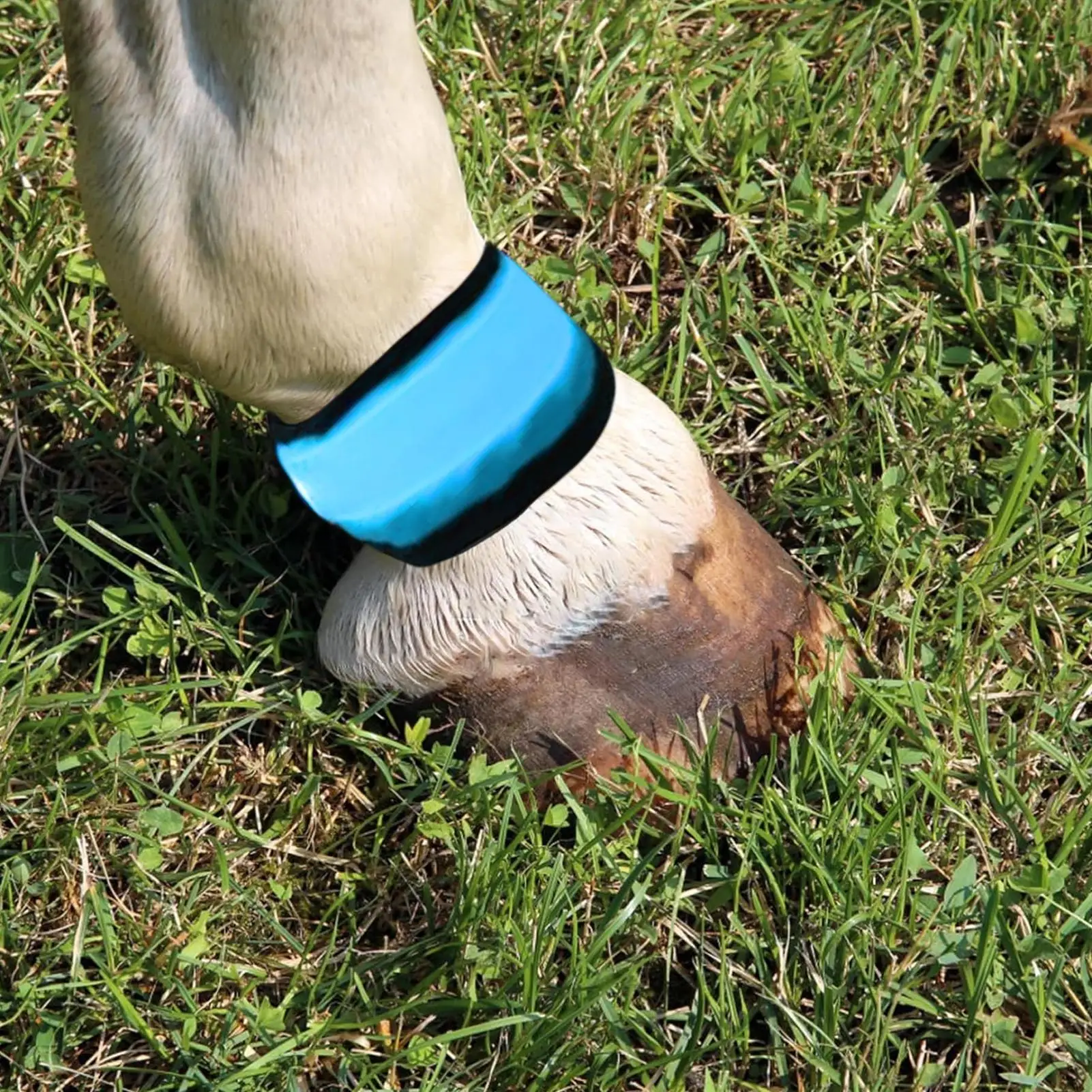 أربطة ساق الحصان 4 قطع طماق السلامة 4 طرق أربطة القدم الحيوان لركوب الليل درب الطريق موكب مزرعة كشك مزرعة مستقرة #3