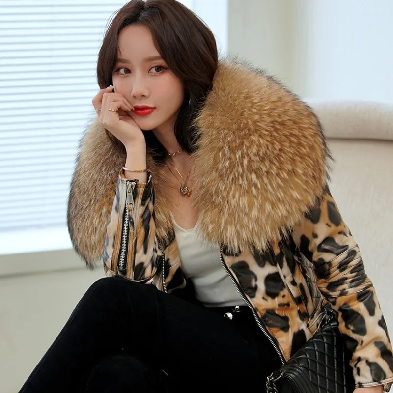 แฟชั่นฤดูหนาวสั้นจริง Raccoon ขนสัตว์ใหญ่ของแท้ Leathert Coat คุณภาพสูง Sheepskin เสือดาวพิมพ์เสื้อแจ็คเก็ตรถจักรยานยนต์