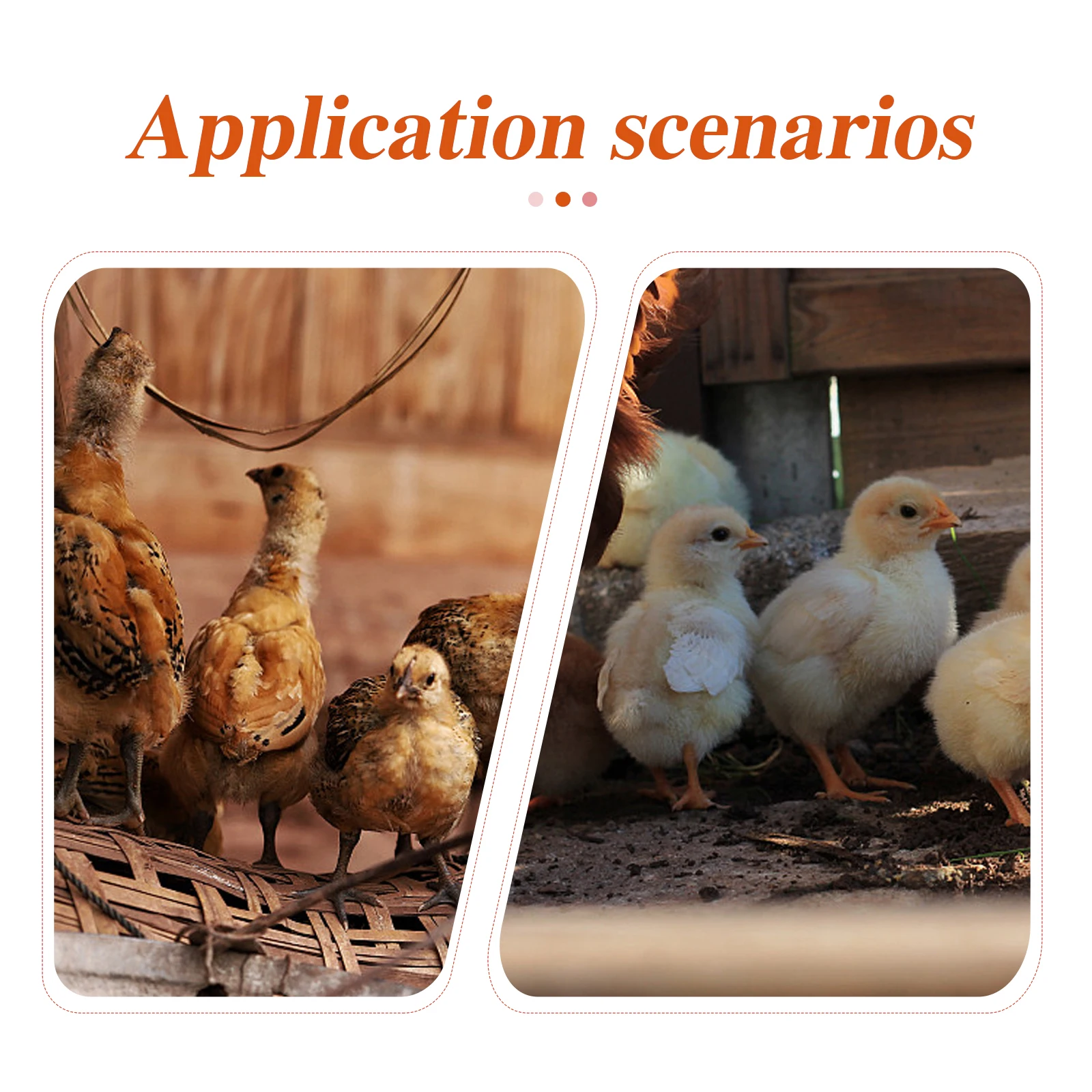 

6Pcs Plastic Chick Water Dispenser Special Design Easy Install Clean Poultry Drinking Bowl Widely Used Home Commerce