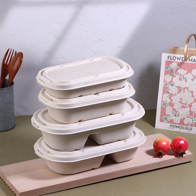 Paquete de 10 fiambreras de pulpa biodegradables con tapas: contenedores ecológicos para llevar para ensaladas, aperitivos y preparación de comidas