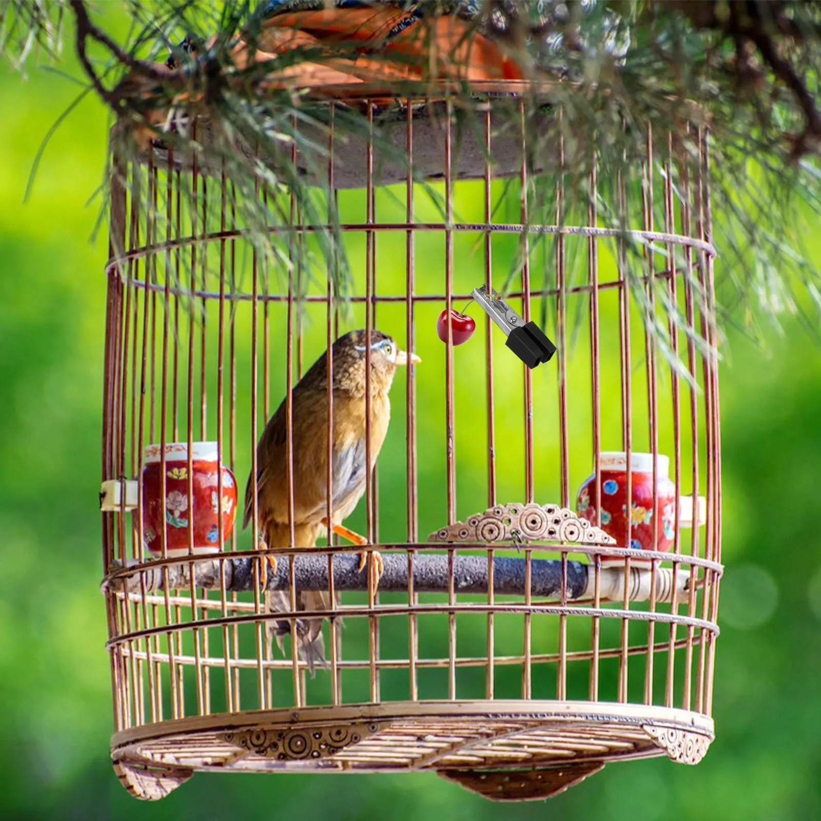 

20Pcs Parrot Cage Door Clips Bird Cage Safety Clips Anti-Escape Iron Lock Pet Birds Accessories Safety Clip Iron Clip