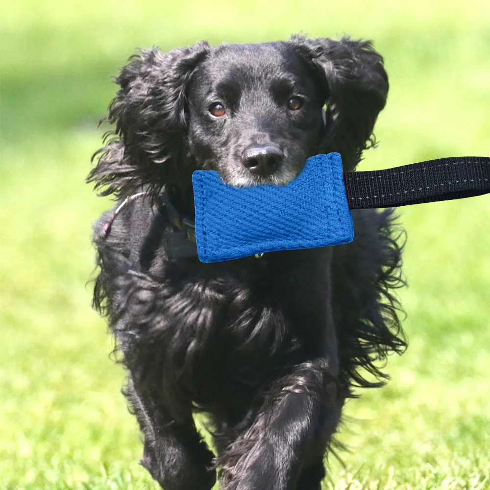 Durable Dog Chew Tug of War Toy - Interactive Training and Teething Chew Stick for Dogs Tear-resistant Linen Material