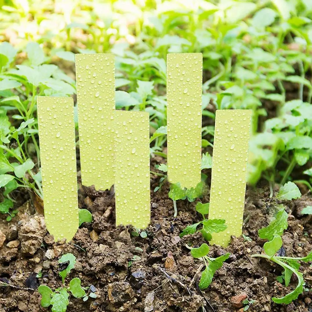 100 Pcs Plastic Plant Seed Labels Garden Stake Tags for Nursery Planting - Tribulus Terrestris Marker Tool