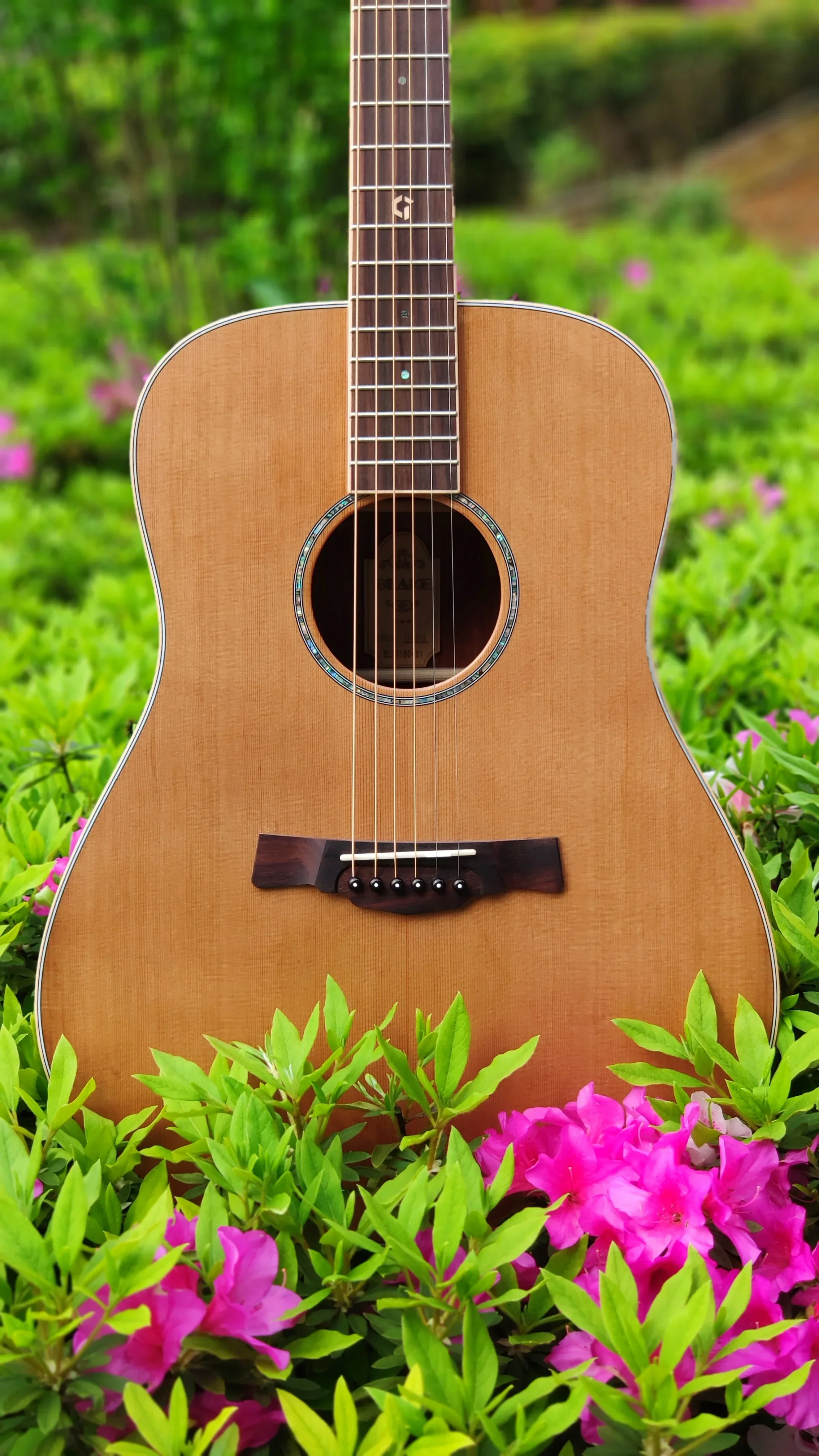 High Quality Geake G-202 Solid Acoustic Guitar with Cedar Top Rosewood and Mahogany Back/Side Matt Finish