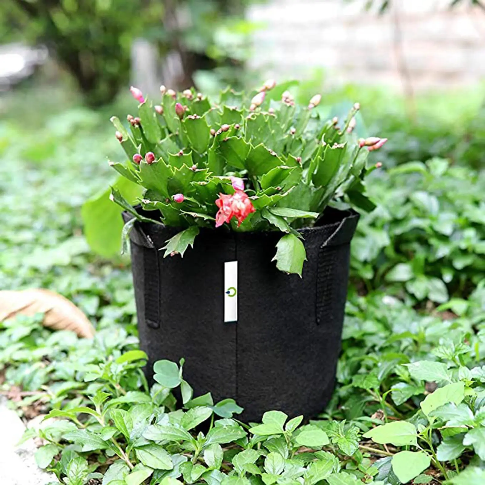 

Мешки для выращивания садовых нетканых аерационных растений, овощей, тканевый горшок, 50 галлонов