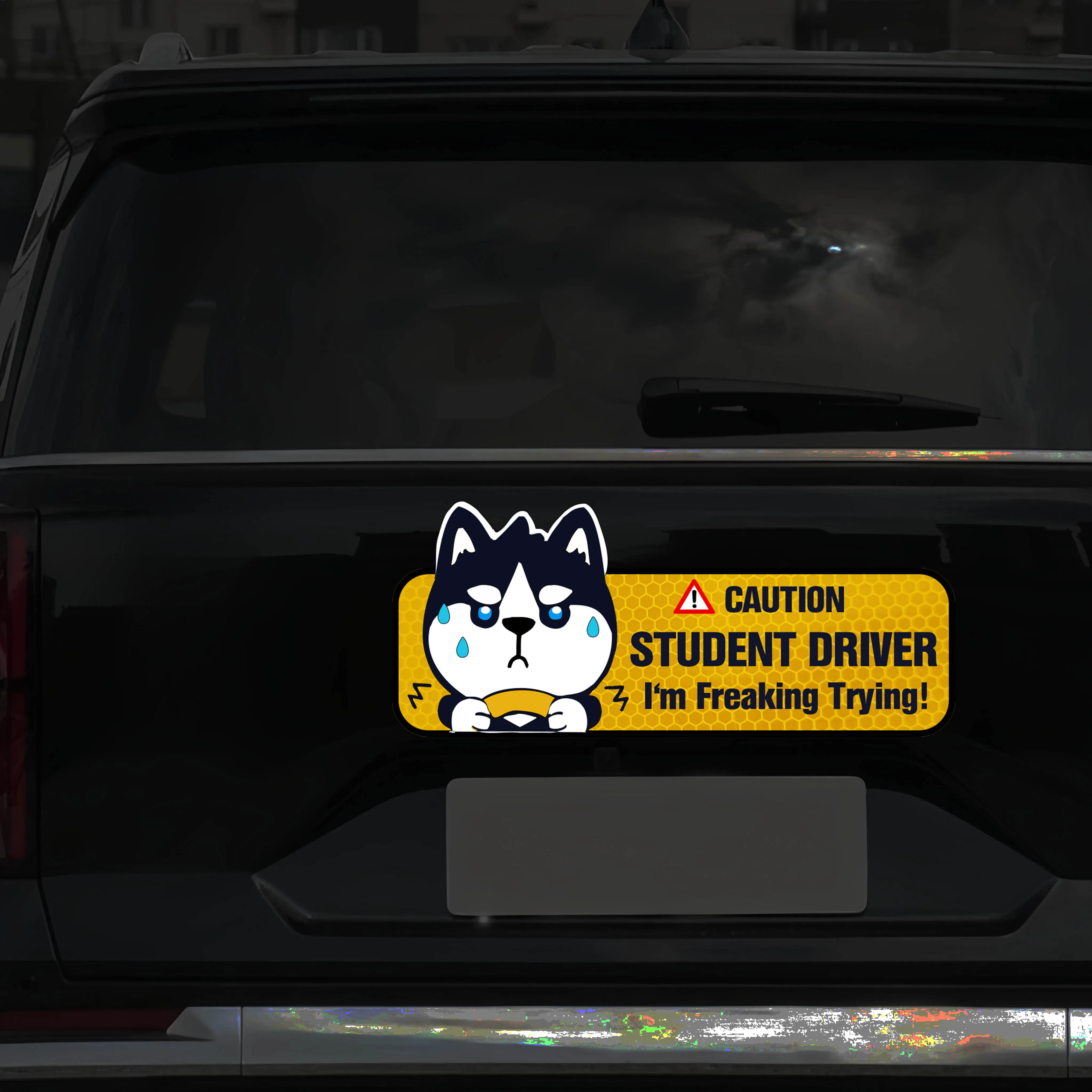 Nervous husky Inu reflective car stickers for student drivers, car warning stickers for novice drivers