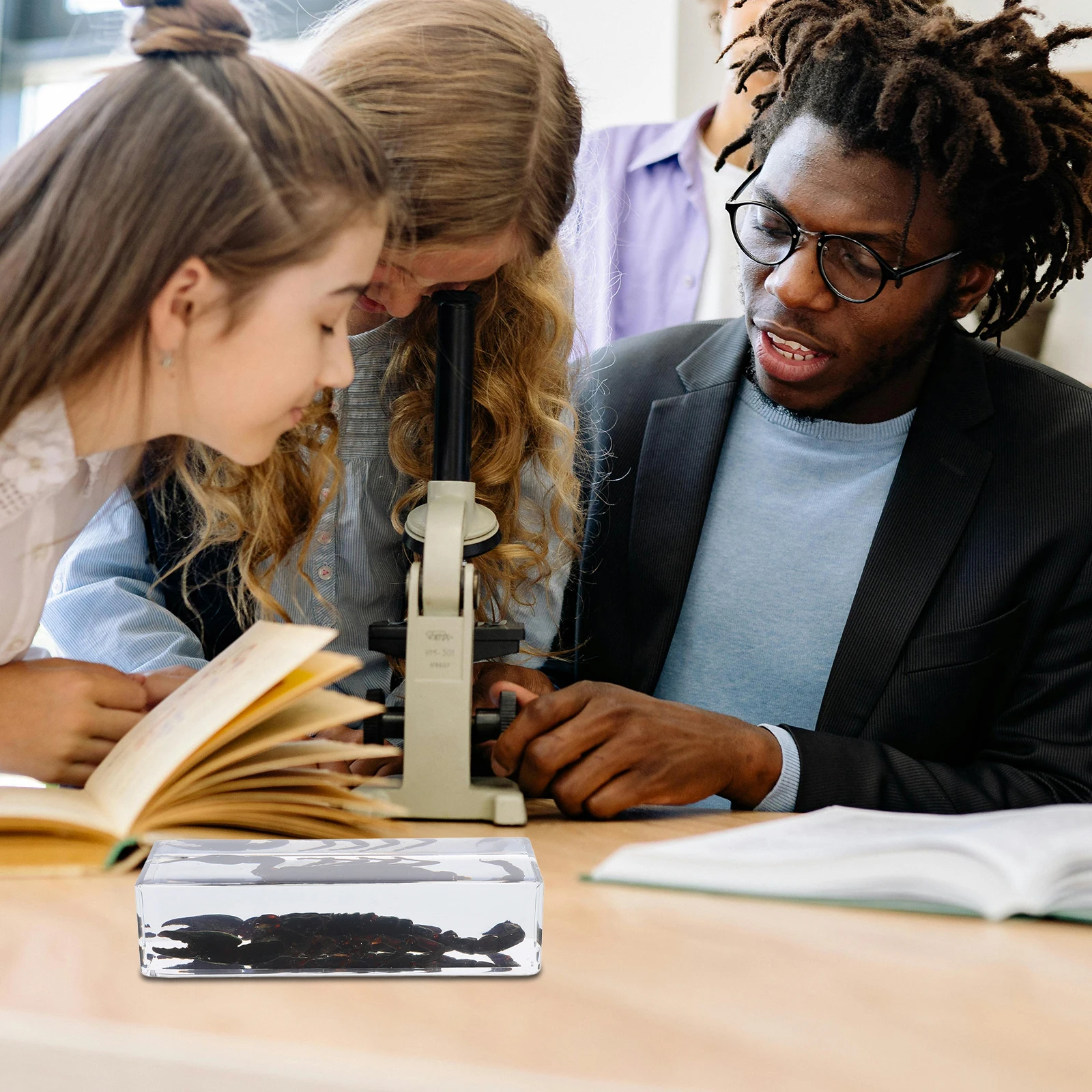 

Exquisite Resin Insect Paperweights Lifelike Educational Bug Collection Preserved Transparent Acrylic Specimens Science