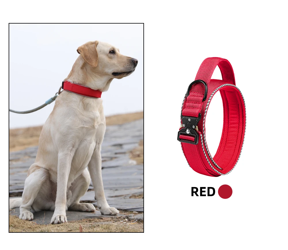 Taktisches Hundehalsband, verstellbares Hundehalsband für mittelgroße und große Hunde, Golden Retriever-Halsband mit Kontrollgriff, hochwertige Schnalle. – Detail 23
