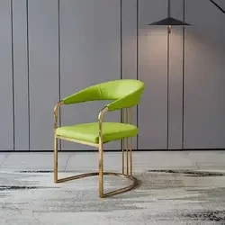 

For New Style Elegant Accent Stool Simple Leisure Chair Living Room Modern Master Chair New Style Elegant Accent Chair