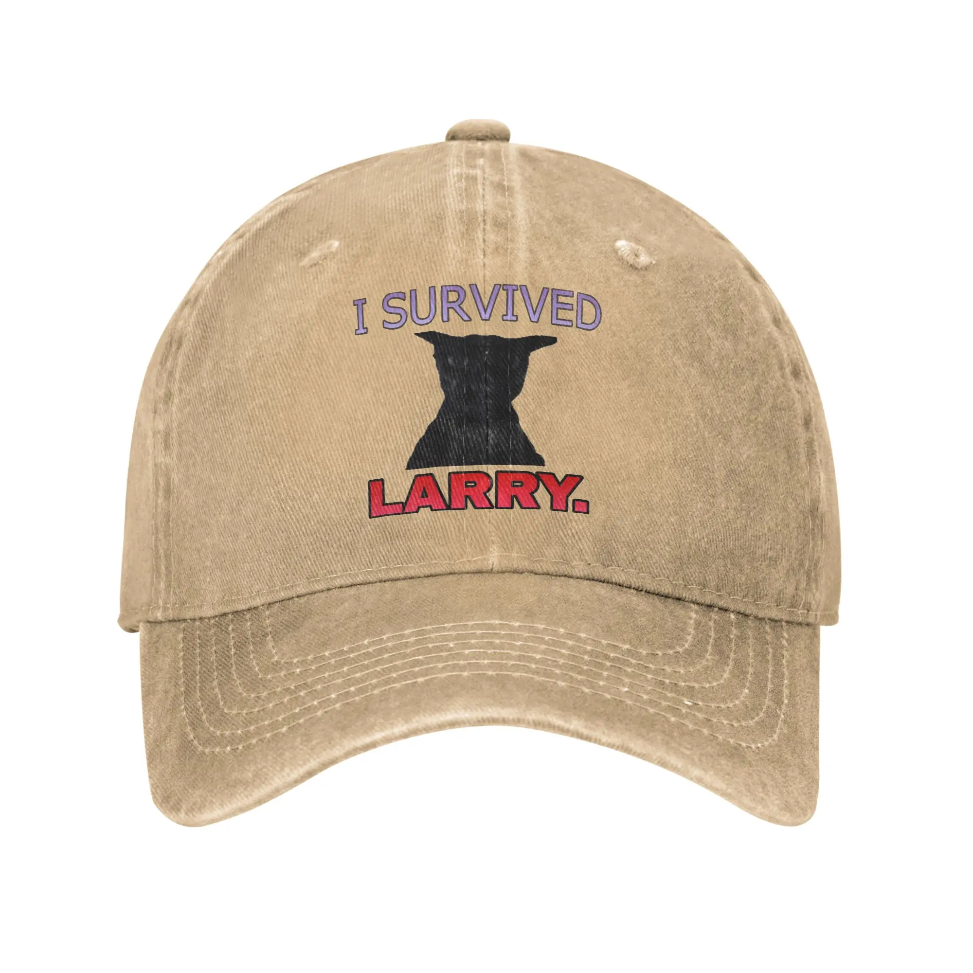 I survived Larry cat meme Baseball Caps Vintage Distressed Washed  Sun Cap Men Women Outdoor Summer  Unstructured Soft Caps Hat