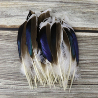 20PCS Natural Pheasant Duck Feathers for Crafts Colored wild duck Plumes Jewelry Making Wedding DIY Handicraft Decor Accessories