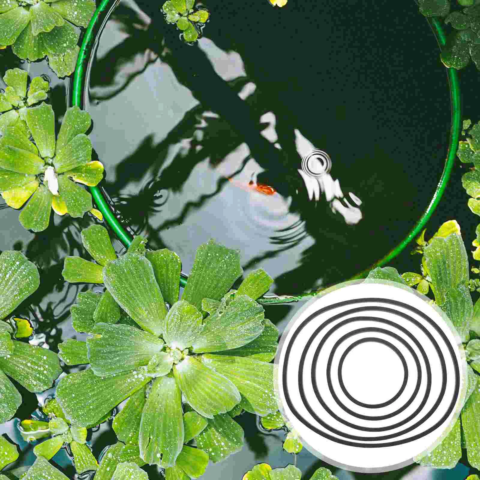 5 Pcs Floating Plant Fence Isolation Circle Duckweed Rings Large Reusable Eva Fish Tank Feeding