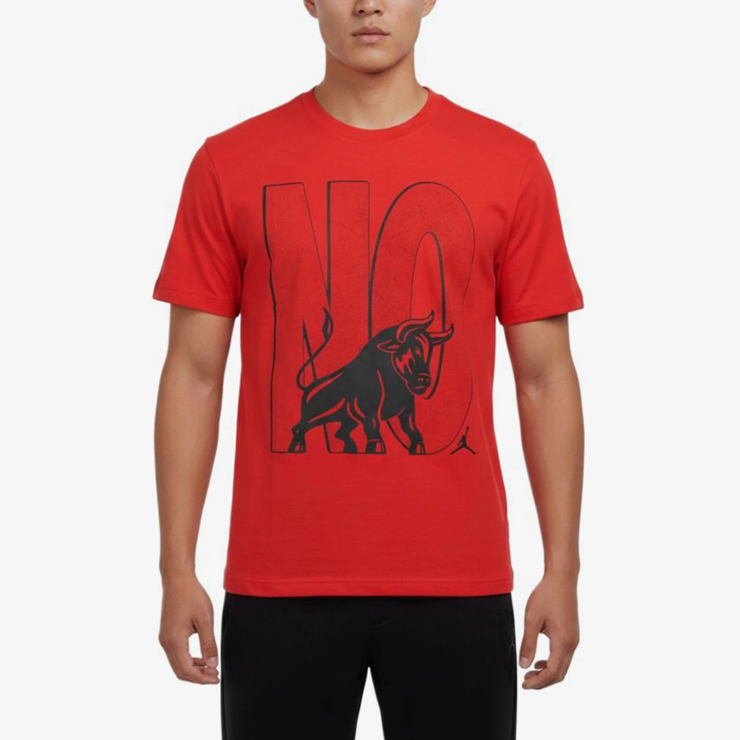 Nike genuine Jordan men's printed animal pattern round neck short sleeved T-shirt IR2118-612