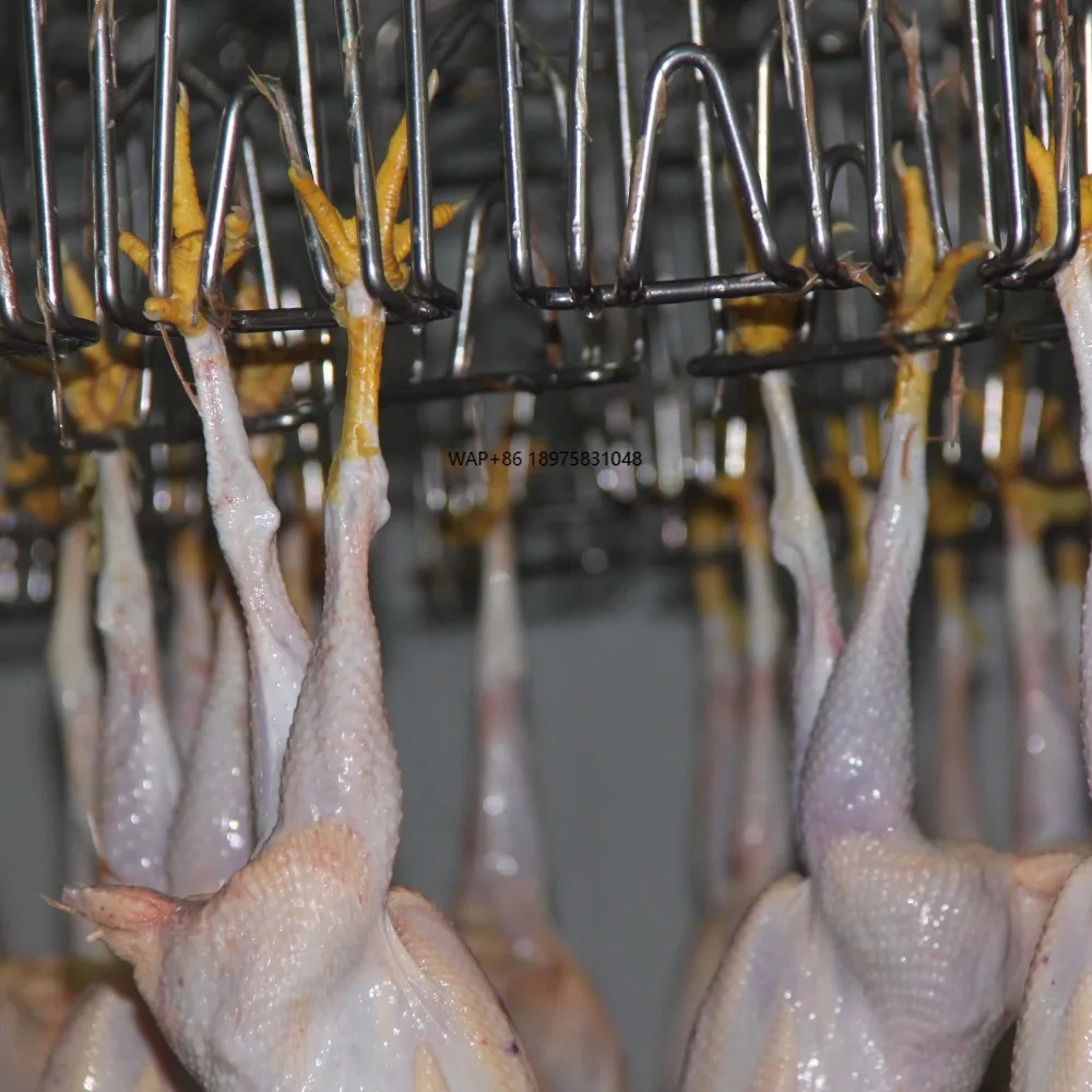 Poultry Slaughter Machine Complete Processing Line Complies with Islamic