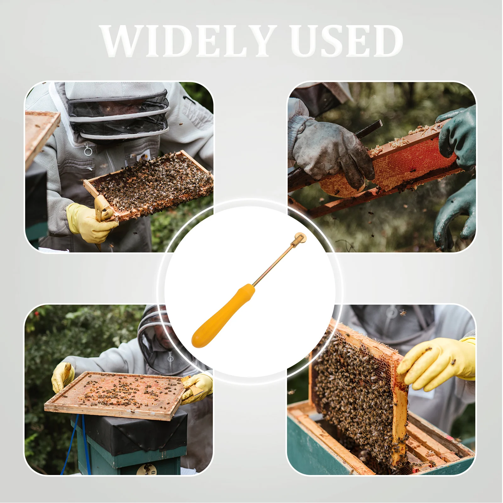 

Plastic Handle Beekeeping Wire Embedder Beehive Roller Durable Safe Practical Beekeeping Imbedding Tool Bee Tool