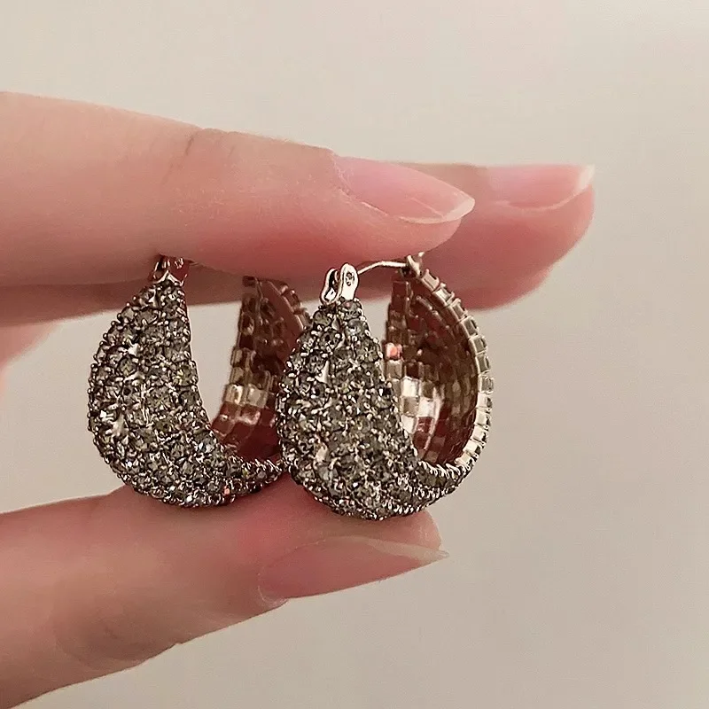 Delicate Gray Diamonds Earrings Earrings European and American Style Fashion Earrings Ladies Girls Travel Accessories