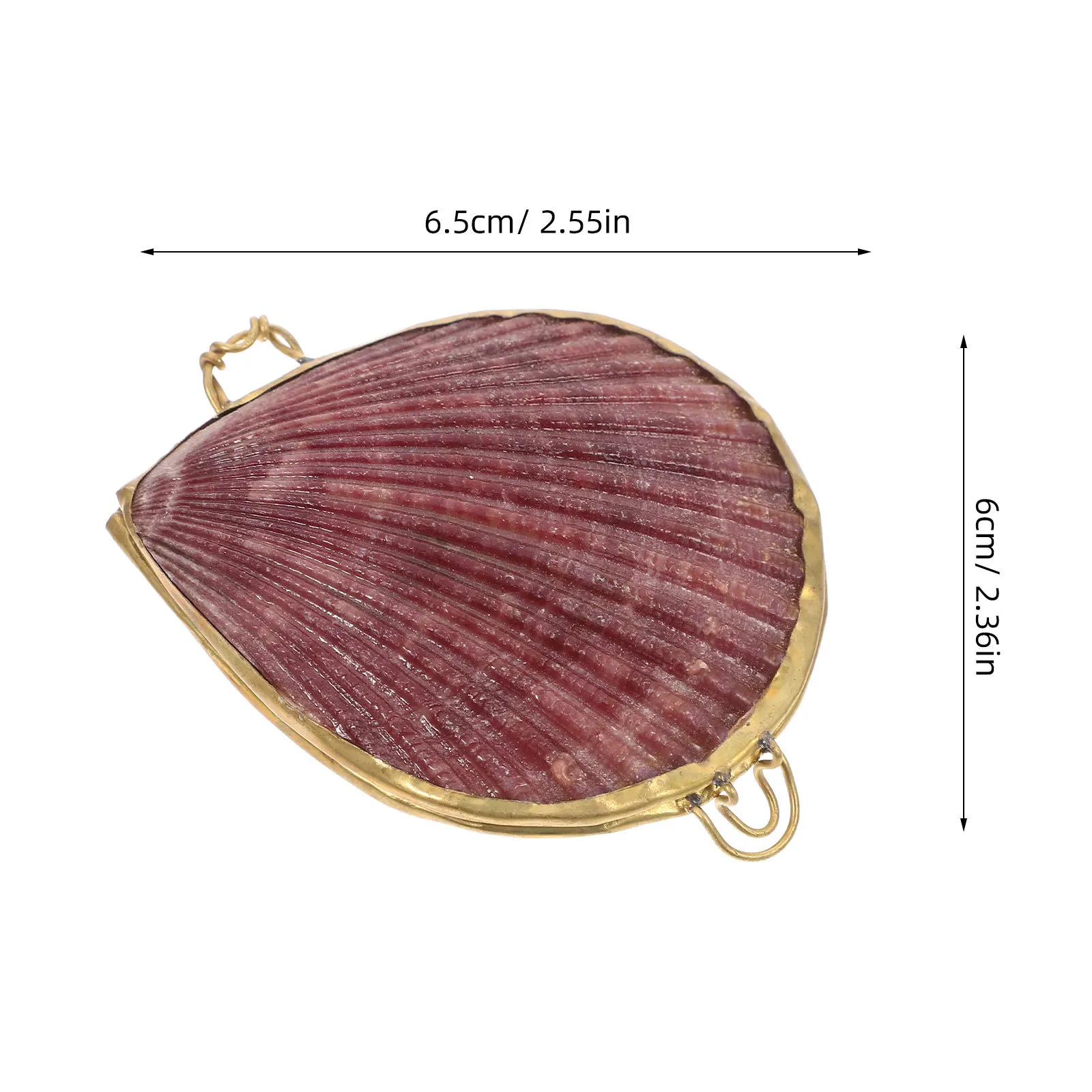 صندوق تخزين مجوهرات صغير على شكل صدف، حامل أقراط على شكل حلقة صغيرة، صندوق هدايا أنيق، علبة حلية مزخرفة لعرض المجوهرات