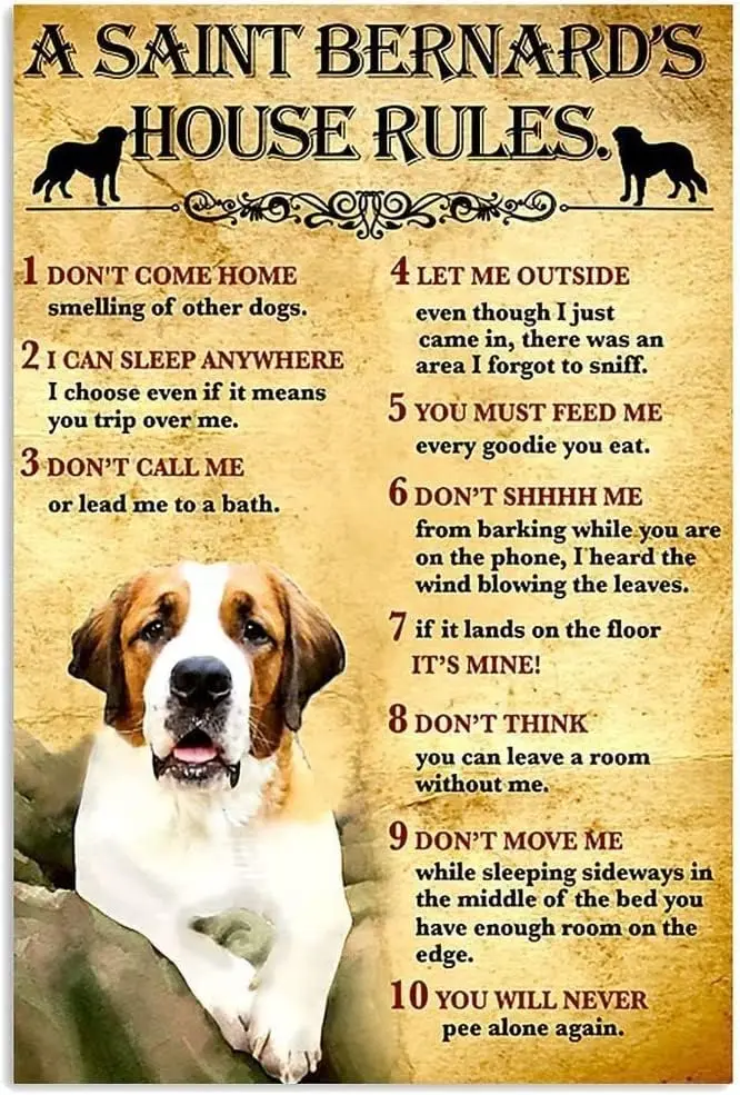 Vintage Aluminum Sign Metal Poster Plaque Saint Bernard House Rules Metal Sign Iron Painting Retro Wall Decor Nostalgic Wal sign