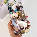 case-c33