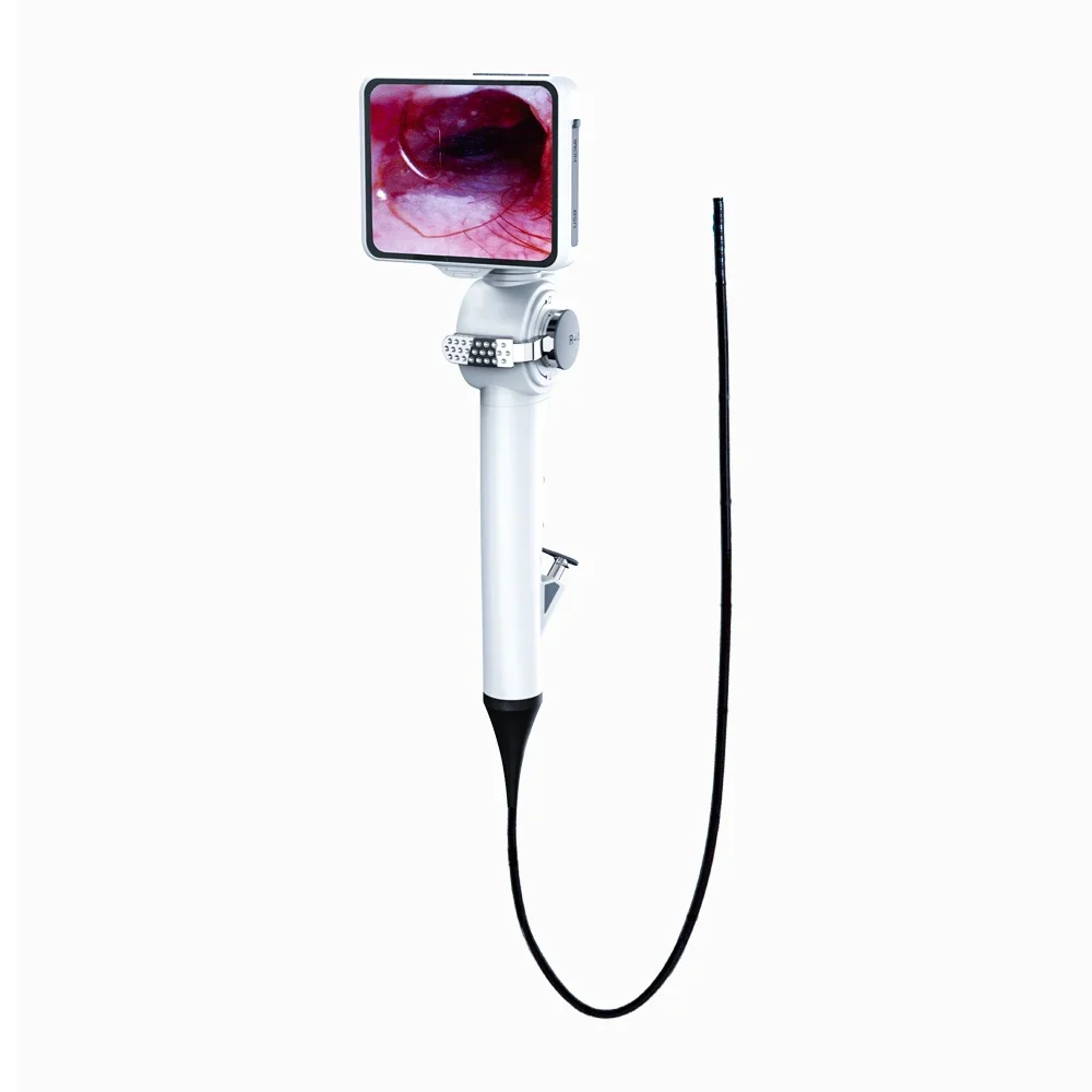 LTEV19 Clinical Portable Animal Intubation Endoscope Veterinary Flexible Video Laryngoscope/Bronchoscope